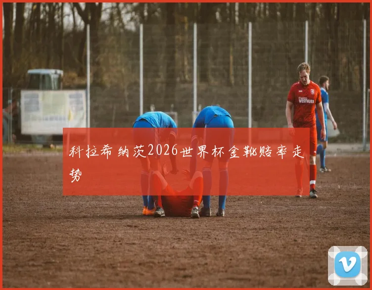 科拉希纳茨2026世界杯金靴赔率走势