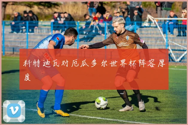 科特迪瓦对厄瓜多尔世界杯阵容厚度