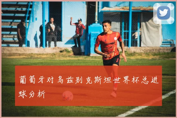 葡萄牙对乌兹别克斯坦世界杯总进球分析