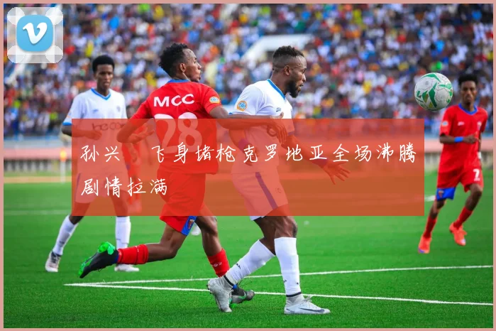 孙兴慜飞身堵枪克罗地亚全场沸腾剧情拉满