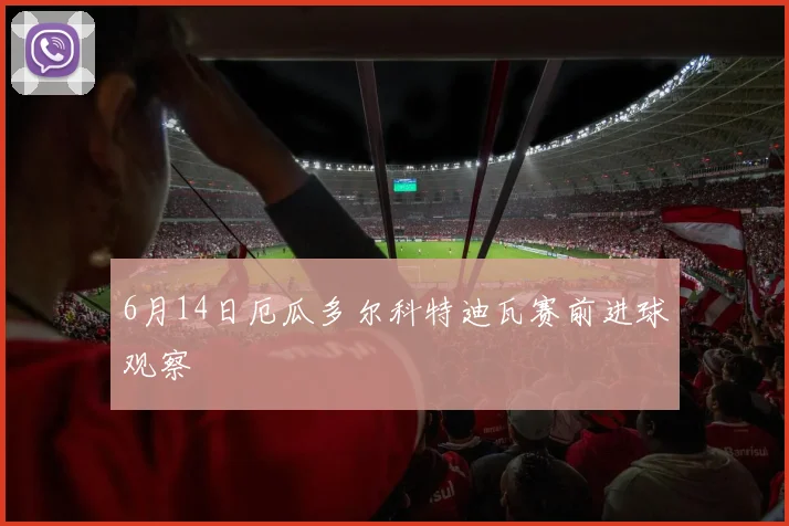 6月14日厄瓜多尔科特迪瓦赛前进球观察